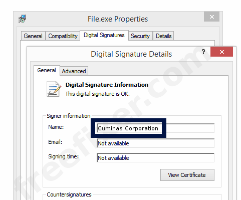 Screenshot of the Cuminas Corporation certificate